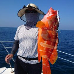 きずなまりん 釣果