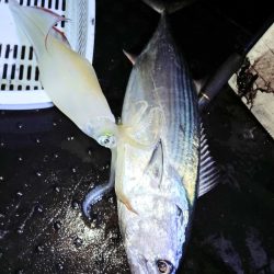 第二龍勢丸 釣果