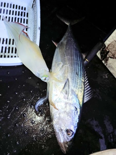 第二龍勢丸 釣果