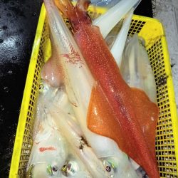 第二龍勢丸 釣果