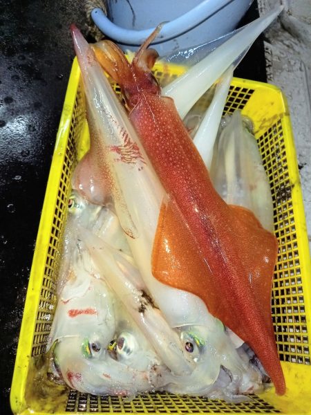 第二龍勢丸 釣果