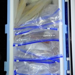 第二龍勢丸 釣果