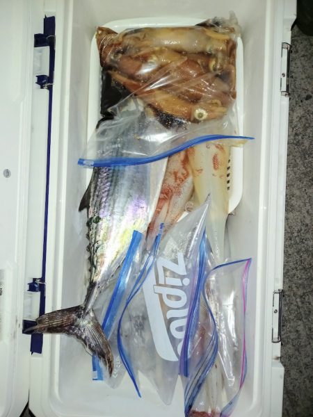 第二龍勢丸 釣果