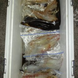 第二龍勢丸 釣果