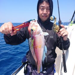 ARCADIAⅡ (アルカディアⅡ) 釣果