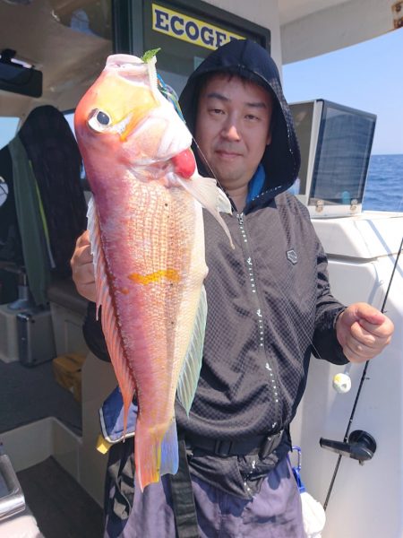 ARCADIAⅡ (アルカディアⅡ) 釣果