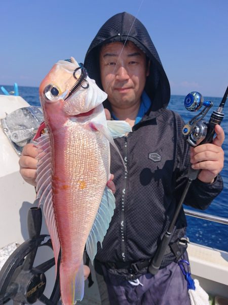 ARCADIAⅡ (アルカディアⅡ) 釣果