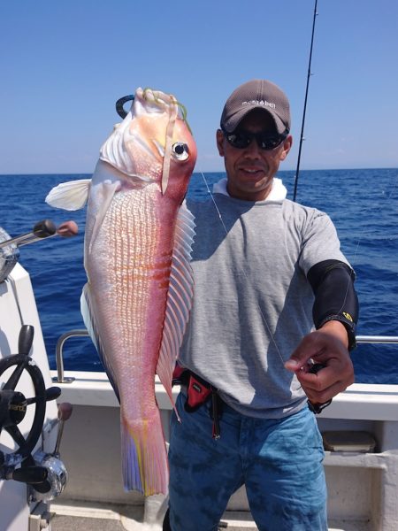 ARCADIAⅡ (アルカディアⅡ) 釣果