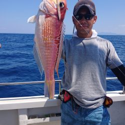 ARCADIAⅡ (アルカディアⅡ) 釣果