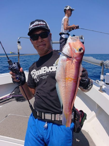 ARCADIAⅡ (アルカディアⅡ) 釣果