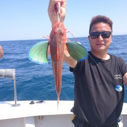 ARCADIAⅡ (アルカディアⅡ) 釣果