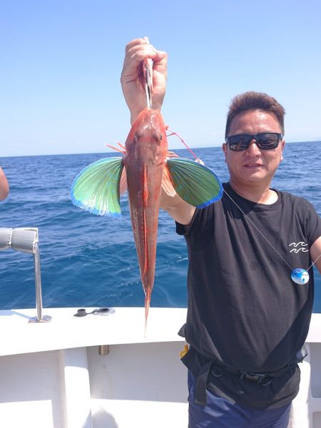 ARCADIAⅡ (アルカディアⅡ) 釣果