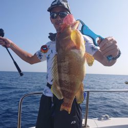 ARCADIAⅡ (アルカディアⅡ) 釣果