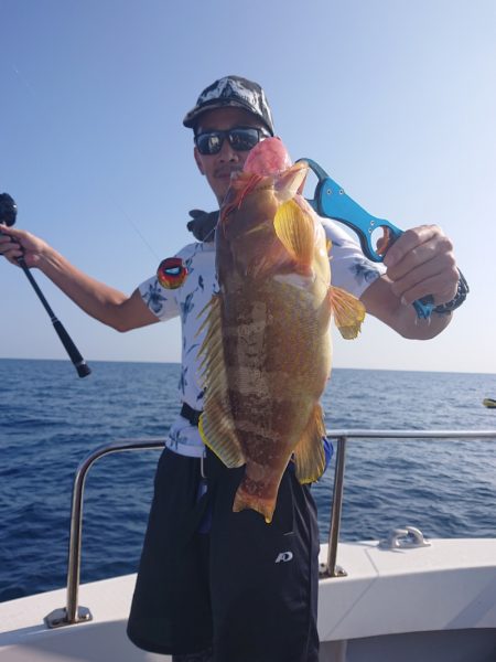 ARCADIAⅡ (アルカディアⅡ) 釣果