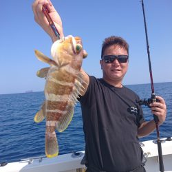 ARCADIAⅡ (アルカディアⅡ) 釣果