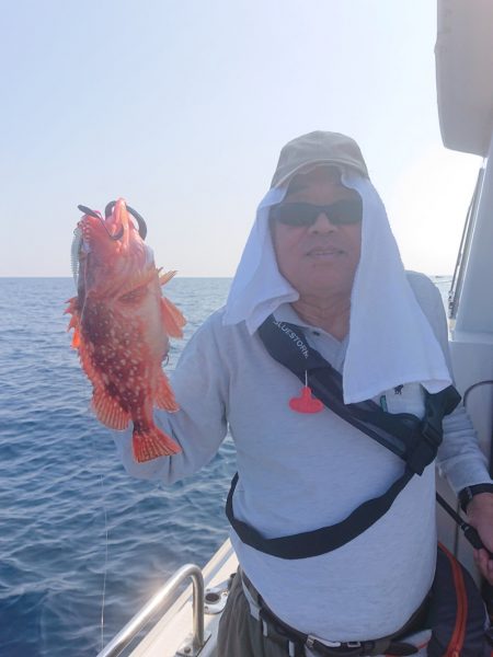 ARCADIAⅡ (アルカディアⅡ) 釣果