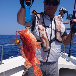 ARCADIAⅡ (アルカディアⅡ) 釣果