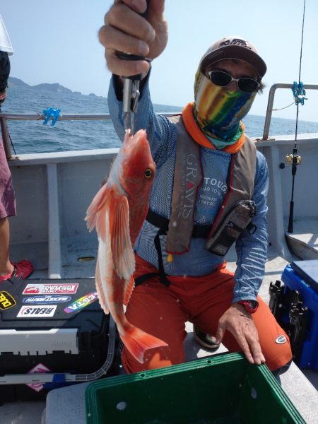 ありもと丸 釣果