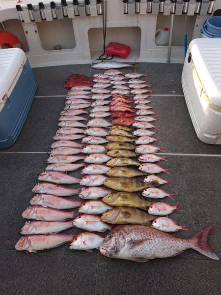 ARCADIAⅡ (アルカディアⅡ) 釣果