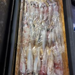 海龍丸(石川) 釣果