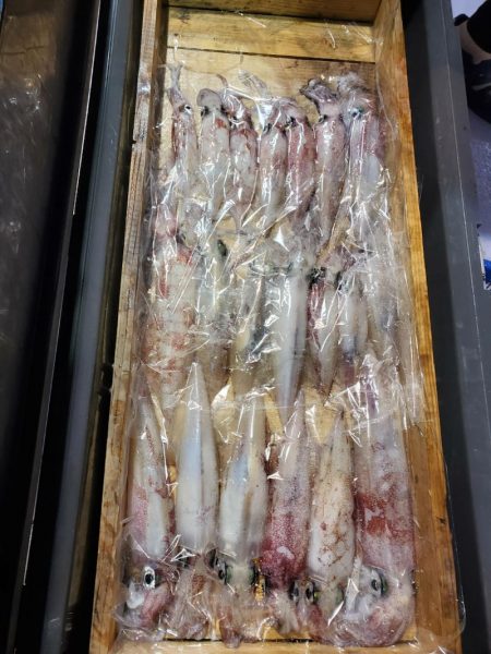 海龍丸(石川) 釣果