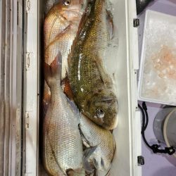 海龍丸(石川) 釣果