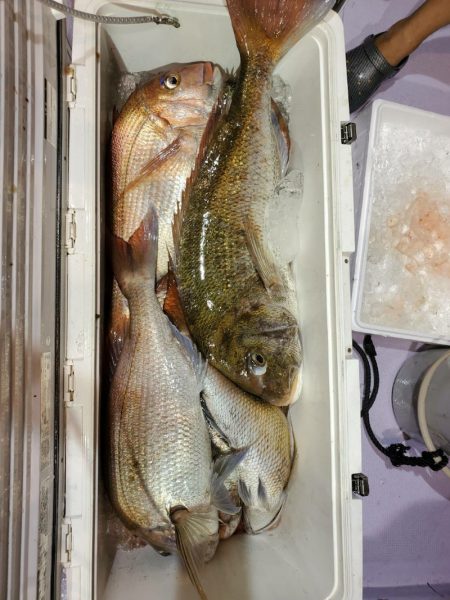 海龍丸(石川) 釣果