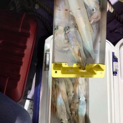 海龍丸（石川） 釣果