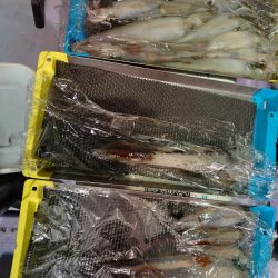 海龍丸（石川） 釣果