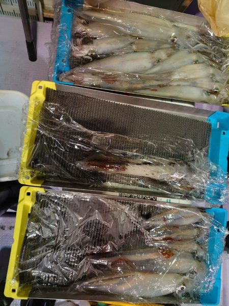 海龍丸（石川） 釣果