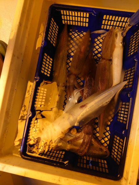 海龍丸（石川） 釣果