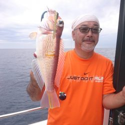 ARCADIAⅡ (アルカディアⅡ) 釣果