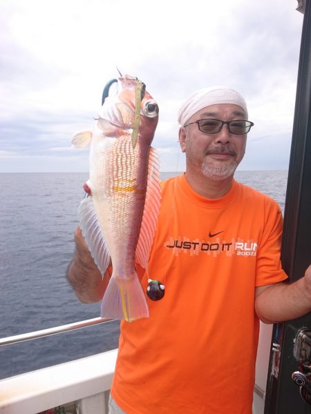 ARCADIAⅡ (アルカディアⅡ) 釣果