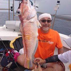 ARCADIAⅡ (アルカディアⅡ) 釣果