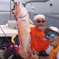 ARCADIAⅡ (アルカディアⅡ) 釣果