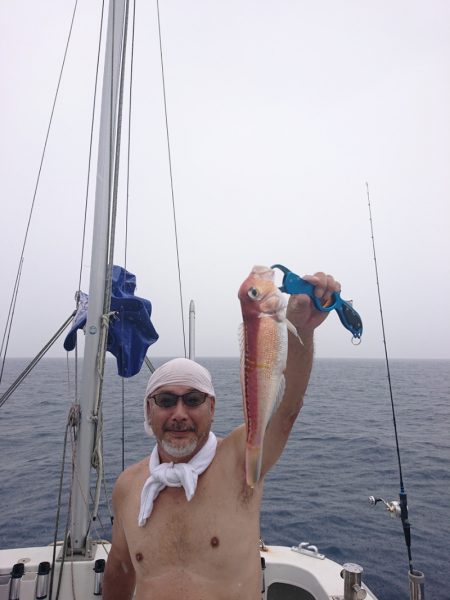 ARCADIAⅡ (アルカディアⅡ) 釣果