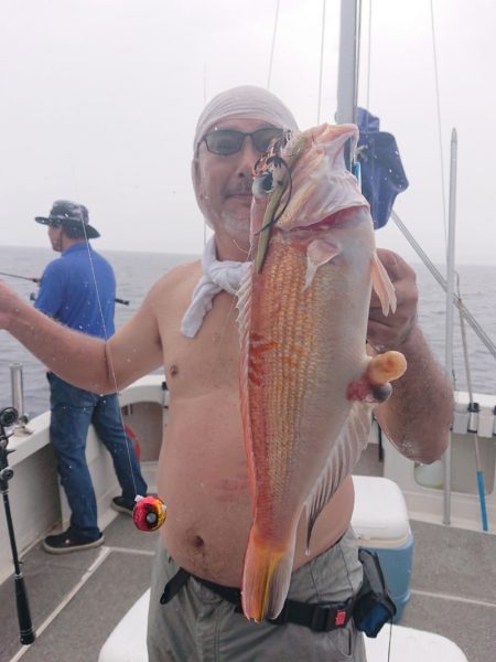 ARCADIAⅡ (アルカディアⅡ) 釣果