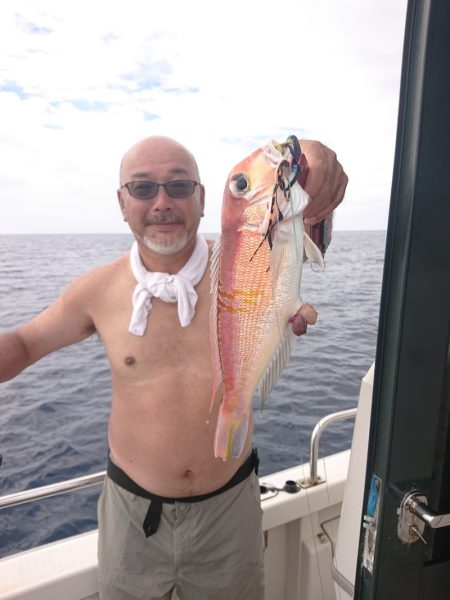 ARCADIAⅡ (アルカディアⅡ) 釣果