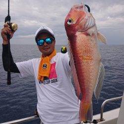 ARCADIAⅡ (アルカディアⅡ) 釣果