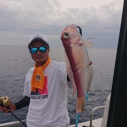 ARCADIAⅡ (アルカディアⅡ) 釣果