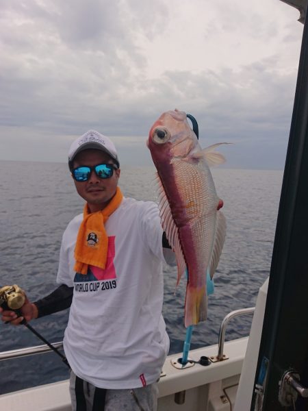 ARCADIAⅡ (アルカディアⅡ) 釣果