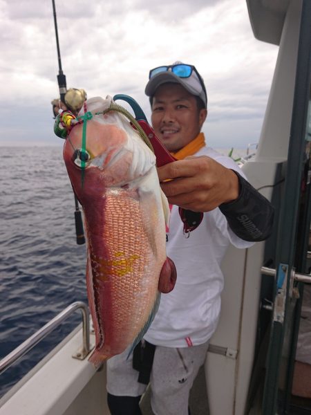 ARCADIAⅡ (アルカディアⅡ) 釣果