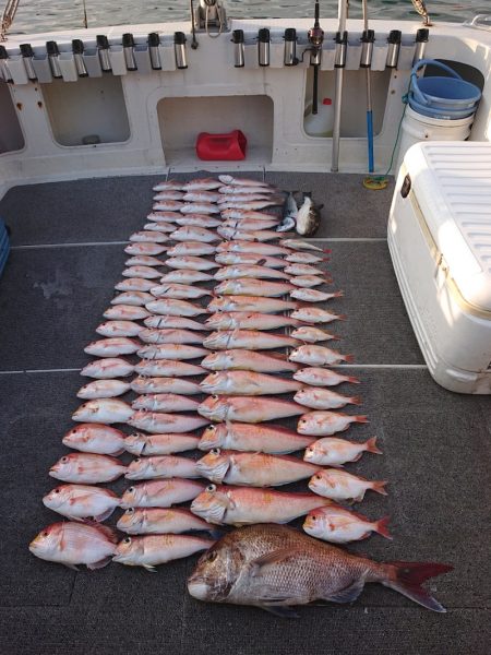 ARCADIAⅡ （アルカディアⅡ） 釣果…