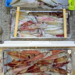 第二龍勢丸 釣果