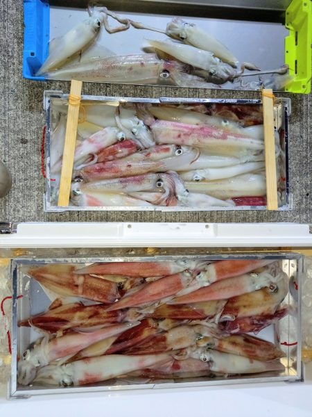 第二龍勢丸 釣果