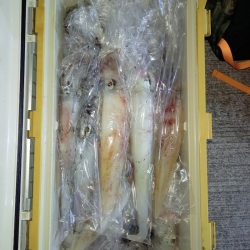 第二龍勢丸 釣果