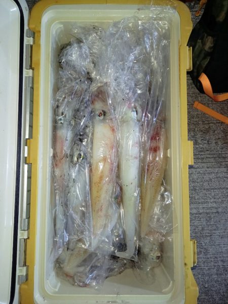 第二龍勢丸 釣果