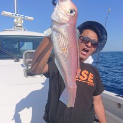 ARCADIAⅡ （アルカディアⅡ） 釣果