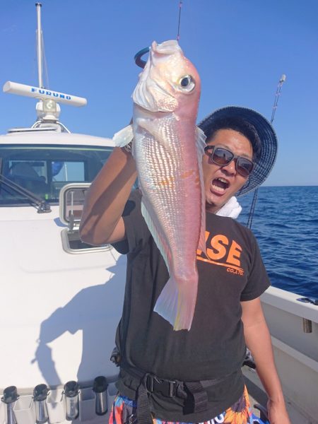 ARCADIAⅡ （アルカディアⅡ） 釣果