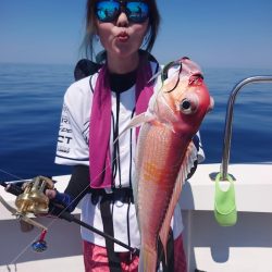 ARCADIAⅡ （アルカディアⅡ） 釣果